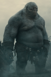 Lord of the Rings, The: The Two Towers